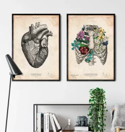 Affiche cage thoracique - Couleur-Codex Anatomicus Online