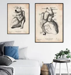 Affiche d'anatomie cardiaque II-Codex Anatomicus