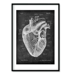 Anatomie cardiaque - Chalkboard - Lot de 3-Codex Anatomicus Discount