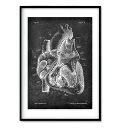 Anatomie cardiaque - Chalkboard - Lot de 3-Codex Anatomicus Discount