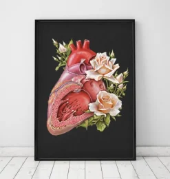 Anatomie cardiaque - Floral - Noir-Codex Anatomicus