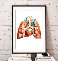 Anatomie cardiaque et pulmonaire-Codex Anatomicus New