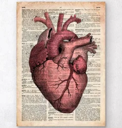 Anatomie cardiaque III - Ancienne page de dictionnaire-Codex Anatomicus Outlet