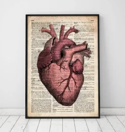 Anatomie cardiaque III - Ancienne page de dictionnaire-Codex Anatomicus Outlet