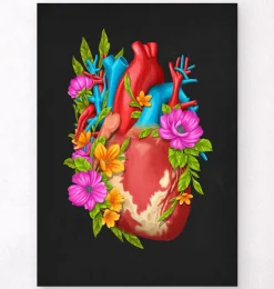 Anatomie cardiaque IV - Floral - Noir-Codex Anatomicus