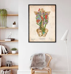 Anatomie de la cage thoracique II - Floral - Vintage-Codex Anatomicus Outlet