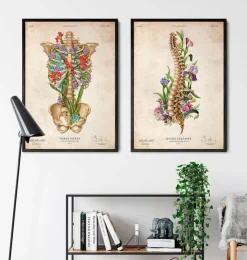 Anatomie de la cage thoracique II - Floral - Vintage-Codex Anatomicus Outlet