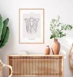 Anatomie de la cage thoracique - Line Art-Codex Anatomicus Outlet