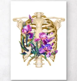 Anatomie de la cage thoracique - Floral - Blanc-Codex Anatomicus Discount
