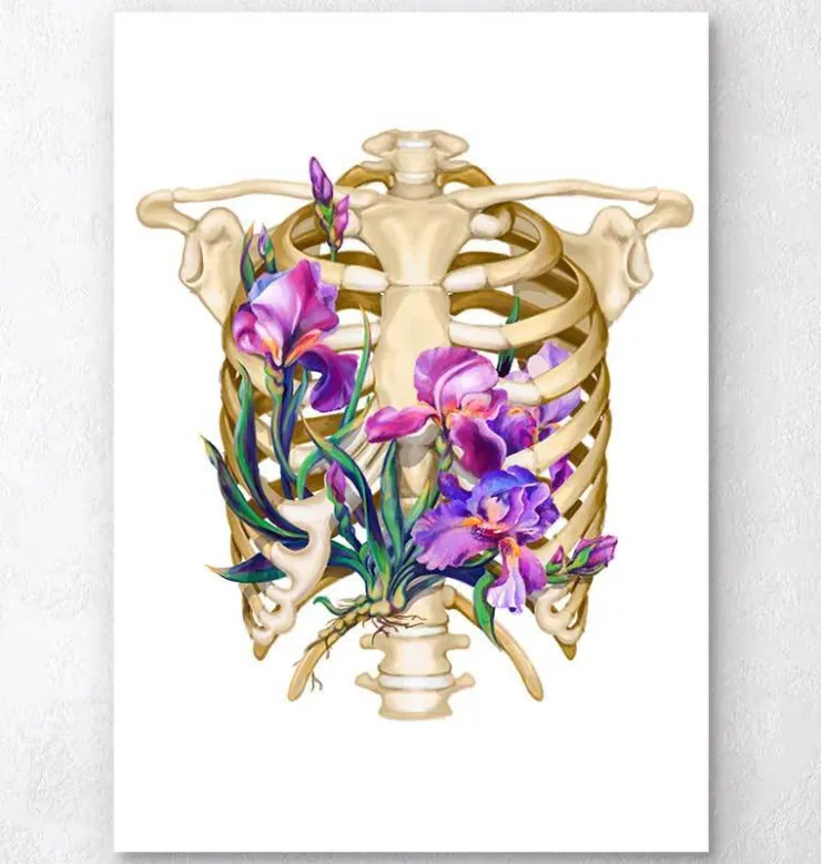 Anatomie de la cage thoracique - Floral - Blanc-Codex Anatomicus Discount