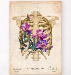 Anatomie de la cage thoracique - Floral - Vieux papier-Codex Anatomicus Outlet