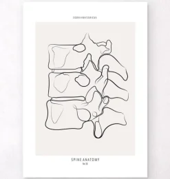 Anatomie de la colonne vertébrale II - Line Art-Codex Anatomicus Best