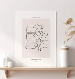 Anatomie de la colonne vertébrale II - Line Art-Codex Anatomicus Best