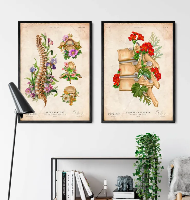 Anatomie de la colonne vertébrale - Floral - Vintage-Codex Anatomicus New