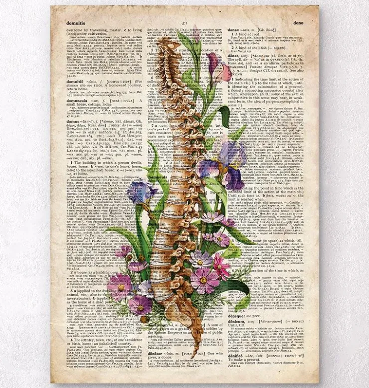 Anatomie de la colonne vertébrale - Ancien dictionnaire-Codex Anatomicus Best