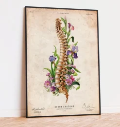Anatomie de la colonne vertébrale - Floral - Vieux papier-Codex Anatomicus Outlet