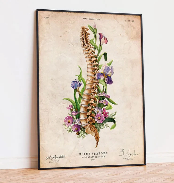 Anatomie de la colonne vertébrale - Floral - Vieux papier-Codex Anatomicus Outlet