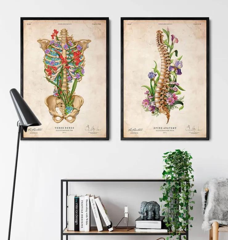 Anatomie de la colonne vertébrale - Floral - Vieux papier-Codex Anatomicus Outlet