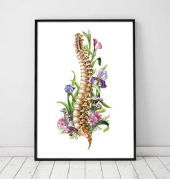 Anatomie de la colonne vertébrale - Floral - Blanc-Codex Anatomicus Outlet