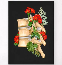 Anatomie de la colonne vertébrale II - Floral - Noir-Codex Anatomicus