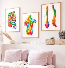 Anatomie de la colonne vertébrale - Aquarelle-Codex Anatomicus Discount