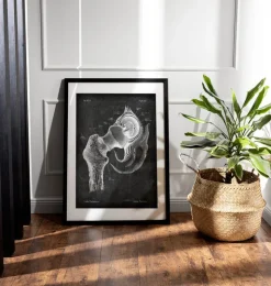 Anatomie de la hanche - Chalkboard-Codex Anatomicus Outlet