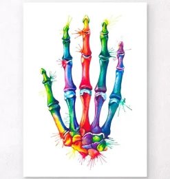 Anatomie de la main - Aquarelle-Codex Anatomicus Discount