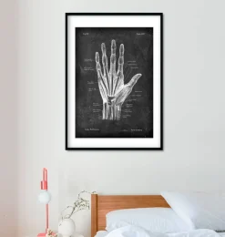 Anatomie de la main - Chalkboard-Codex Anatomicus New