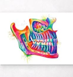 Anatomie de la mâchoire - Aquarelle-Codex Anatomicus Sale