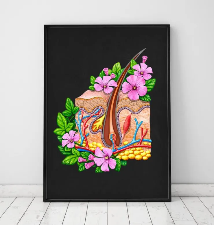 Anatomie de la peau - Floral - Noir-Codex Anatomicus New