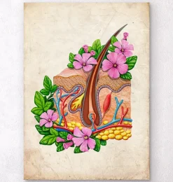 Anatomie de la peau - Floral - Vieux papier-Codex Anatomicus