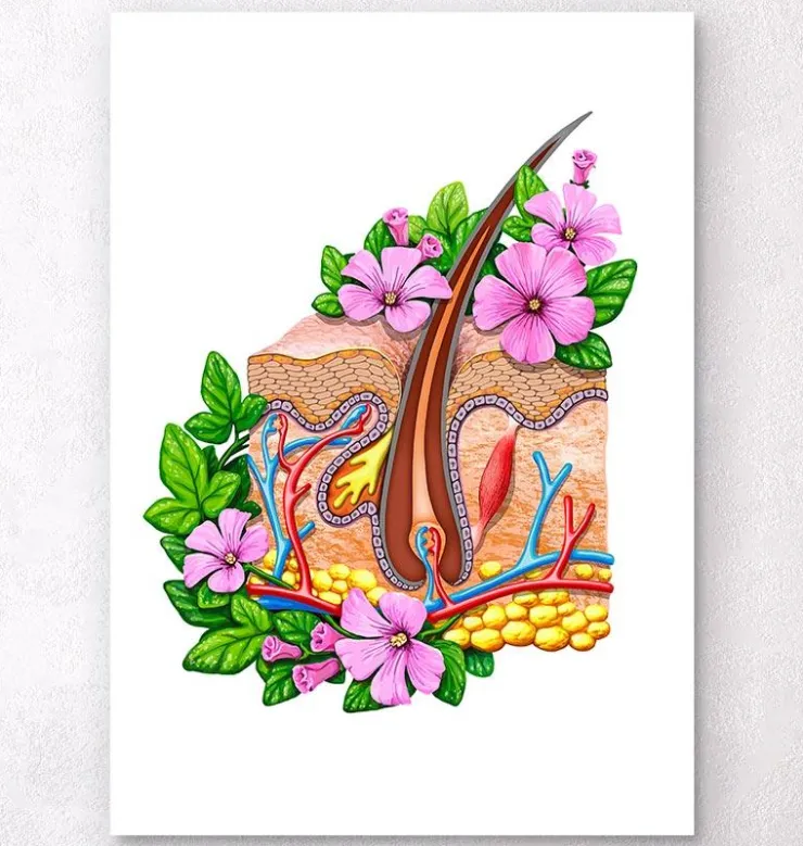 Anatomie de la peau - Floral - Blanc-Codex Anatomicus Hot