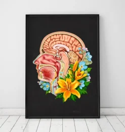 Anatomie de la tête - Floral - Noir-Codex Anatomicus Online