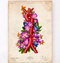 Anatomie de l'aorte - Floral - Vintage-Codex Anatomicus Best