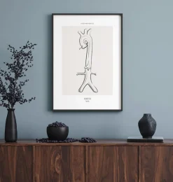 Anatomie de l'aorte - Line Art-Codex Anatomicus Clearance