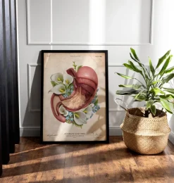 Anatomie de l'estomac - Floral - Vieux Papier-Codex Anatomicus Discount