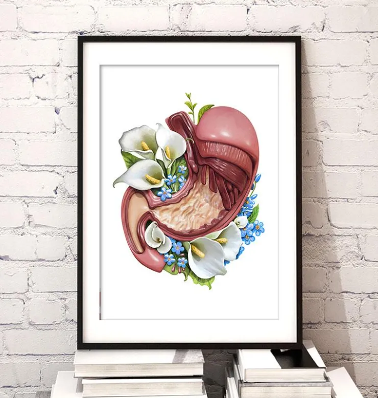 Anatomie de l'estomac - Floral - Blanc-Codex Anatomicus Sale