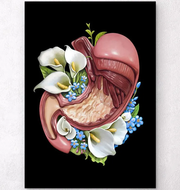 Anatomie de l'estomac - Floral - Noir-Codex Anatomicus Outlet