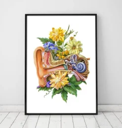 Anatomie de l'oreille - Floral - Blanc-Codex Anatomicus Clearance
