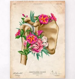 Anatomie de l'épaule - Floral - Vintage-Codex Anatomicus Clearance