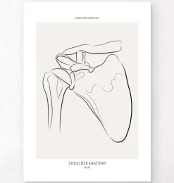 Anatomie de l’épaule - Line Art-Codex Anatomicus Clearance
