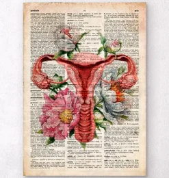 Anatomie de l'utérus - Ancien dictionnaire-Codex Anatomicus Discount
