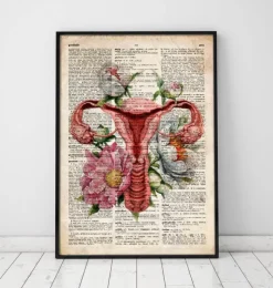 Anatomie de l'utérus - Ancien dictionnaire-Codex Anatomicus Discount