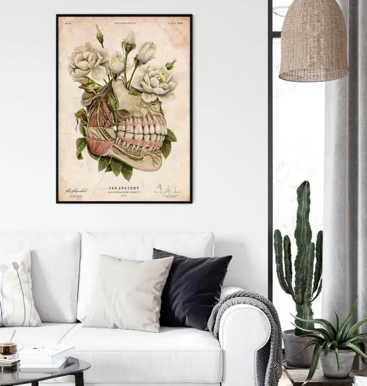 Anatomie dentaire - Floral - Vieux papiers-Codex Anatomicus New