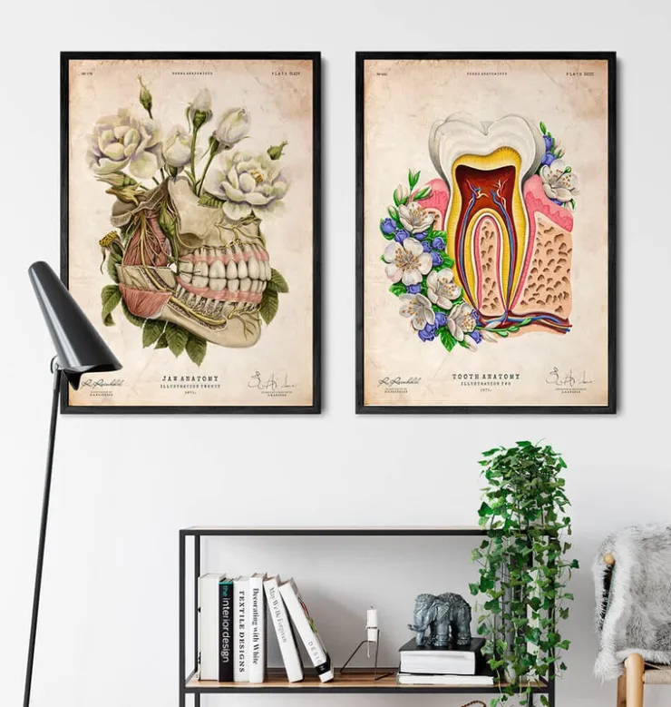 Anatomie dentaire - Floral - Vieux papiers-Codex Anatomicus New