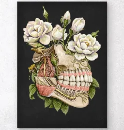 Anatomie dentaire - Floral - Noir-Codex Anatomicus Sale