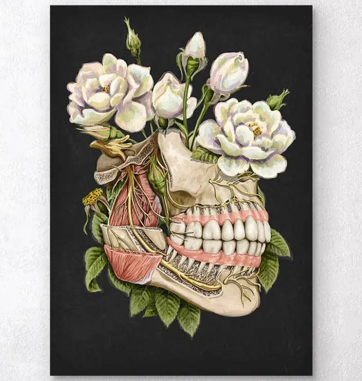 Anatomie dentaire - Floral - Noir-Codex Anatomicus Sale