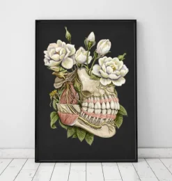Anatomie dentaire - Floral - Noir-Codex Anatomicus Sale