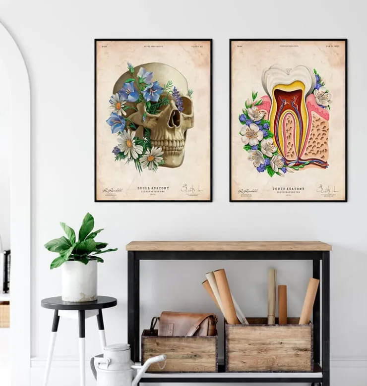 Anatomie dentaire II - Floral - Vieux Papier-Codex Anatomicus Discount
