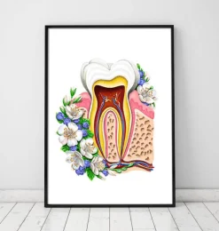 Anatomie dentaire II - Floral - Blanc-Codex Anatomicus New